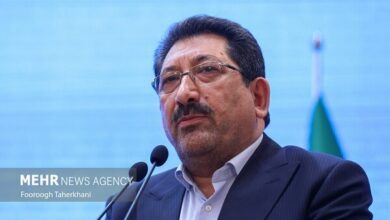 صنعت نباید قربانی ناترازی برق/ صنایع دیگر برق ارزان نخواهند داشت