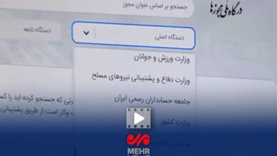 علت اخلال در صدور مجوزهای صنفی کسب و کار