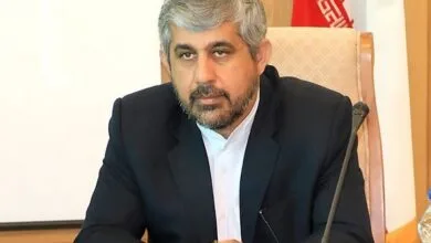 سعیدی: پرداخت کامل حقوق دولتی توسط شرکت‌های معدنی ضروری است