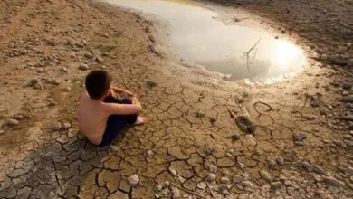 فرونشست ۳۵۰ دشت ایران؛ ۸۰ درصد منابع آب تجدیدپذیر مصرف میشود فرونشست ۳۵۰ دشت ایران؛ ۸۰ درصد منابع آب تجدیدپذیر مصرف میشود