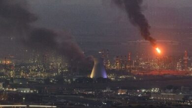 حیفا، ستون فقرات اقتصاد اسرائیل