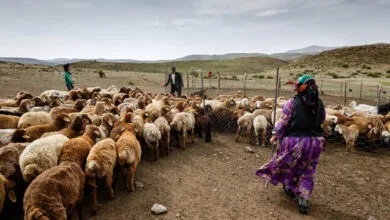 آمادگی کامل برای خدمات‌رسانی بی‌وقفه به عشایر کشور