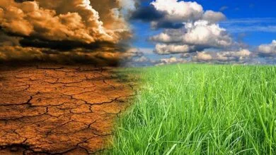 تابستان ایران طولانی شد؛ آینده‌ی بدون بهار و بی‌آبی در راه است