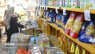 چالش نهاده‌های دامی و معضل بازار فراورده‌های گوشتی+ جدول قیمت کالاها