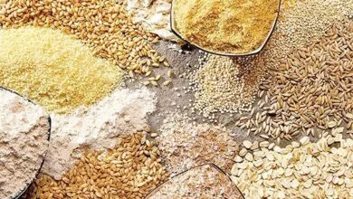 نهادههای دامی به اندازه مورد نیاز در سامانه بازارگاه توزیع نمیشود نهادههای دامی به اندازه مورد نیاز در سامانه بازارگاه توزیع نمیشود