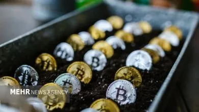 کمر بازار کریپتو شکست؛ ریزش سنگین بیتکوین در یک روز خونین