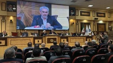 مدنیزاده: تعدد قوانین فعالان اقتصادی را سردرگم میکند